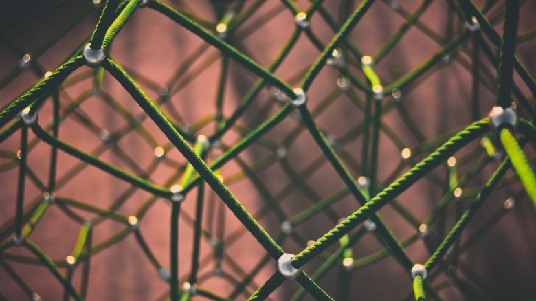 Network Clint_Adair_Unsplash