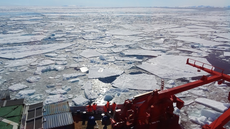Eisschollen schwimmen auf dem Meer