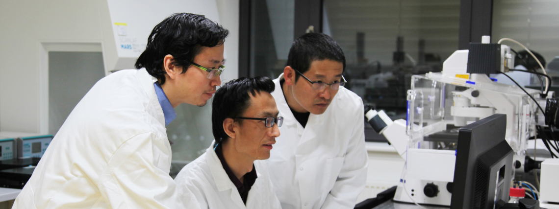 Xun Xu, Zijun Deng and Weiwei Wang (alle HZG) sind Erstautoren die Studie.