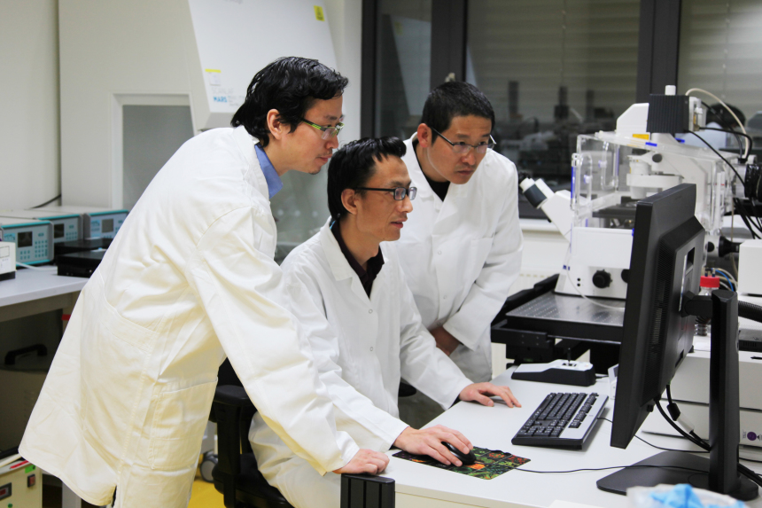 Xun Xu, Zijun Deng and Weiwei Wang (alle HZG) sind Erstautoren die Studie.