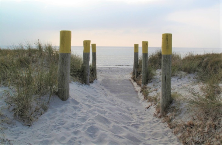 Ein Übergang in den Sanddünen zum Meer im Abendlicht.